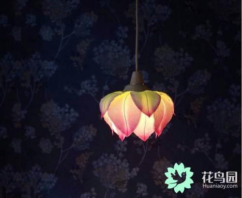 Let the flower shape and paper lamp bloom in the warm light