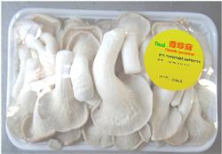 Cultivation techniques of Xiuzhen mushroom: what is Xiuzhen mushroom?