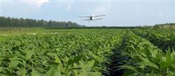 How to add micro-fertilizer to soybeans?