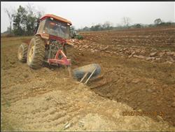 Video pictures of banana planting technology