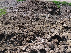 How to get rid of pests in farm manure?