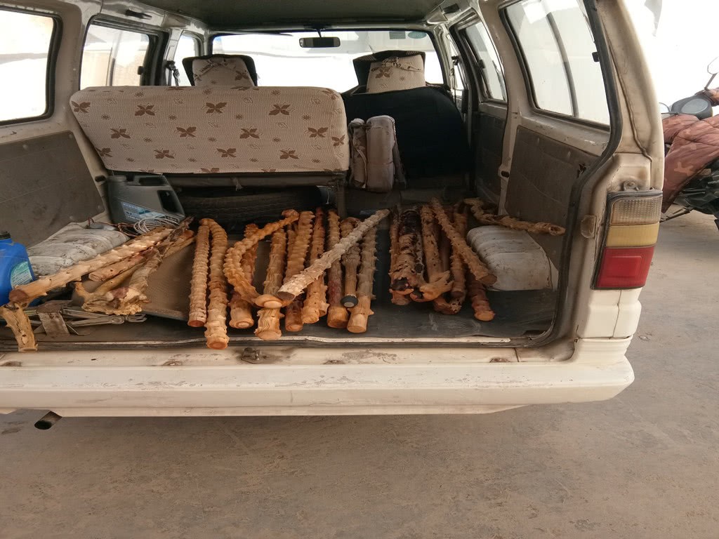 When the eldest brother went into the mountain, he met several long-bagged trees that were cut down, big and small, and the market was robbed of them early in the morning.