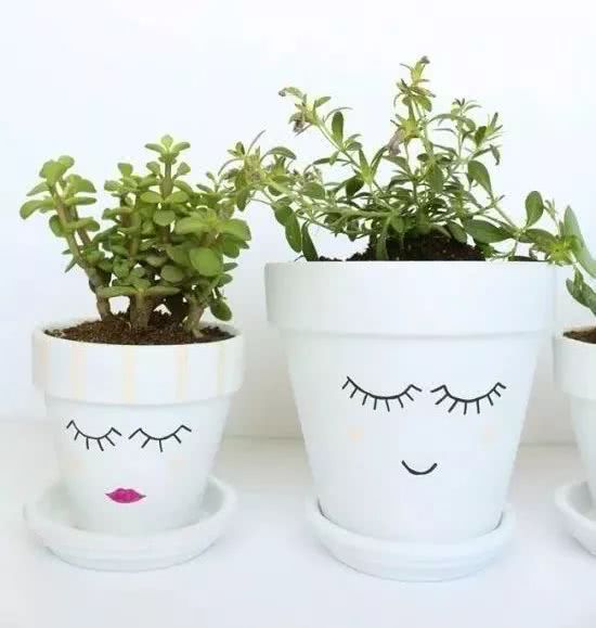 The expression flowerpot that can be made in a few minutes makes the potted plant more interesting and vivid.