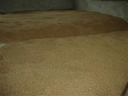 What should wheat seed storage pay attention to?