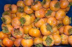 What kind of medicine does sweet persimmon use to ripen?