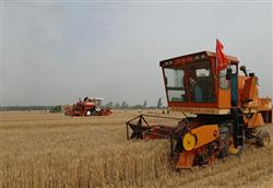 How to reduce the loss of wheat combined harvest?