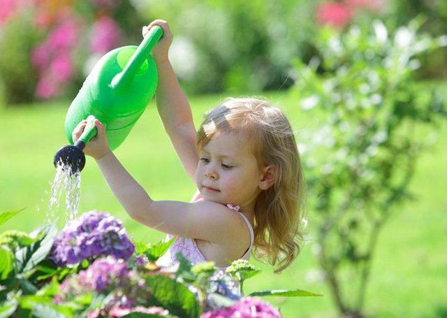 There is absolutely nothing wrong with a novice watering flowers.