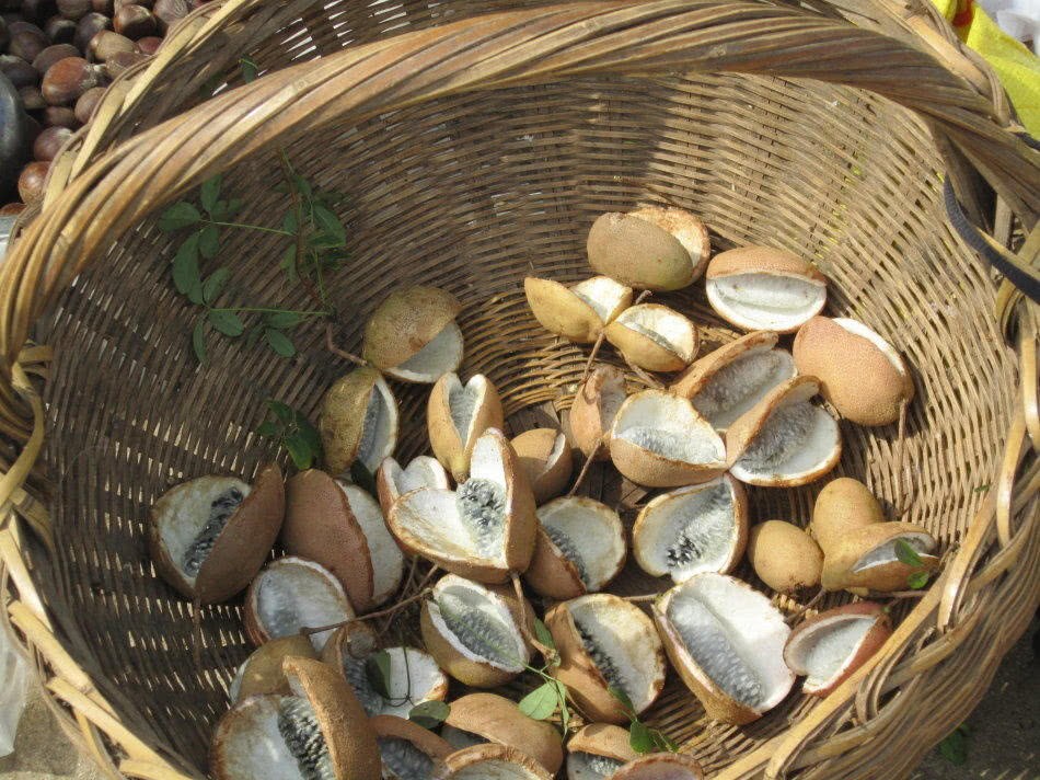 When it comes to the season of wild fruits, these three kinds of wild fruits are all over the mountain, and the second kind of bubble wine is unique.