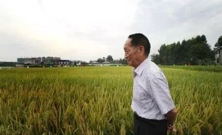 Do you agree with Yuan's remark that the money for subsidizing oil should be used to replenish farmers?