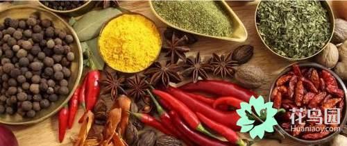 What are the common spices? Introduction of 27 kinds of common spices