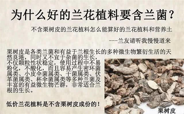 Orchid plant nutrition soil pine chestnut king bark particle matrix plant species Chunhui Jianmu orchid special general mixed type