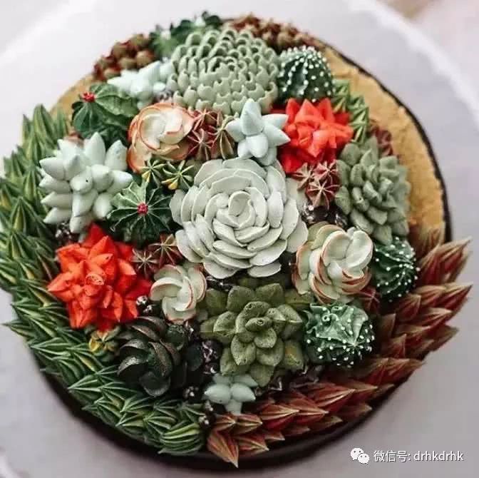 You think this is a succulent plant? Actually, this is a delicious cake.