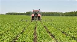 Technical points of fertilizing soybean