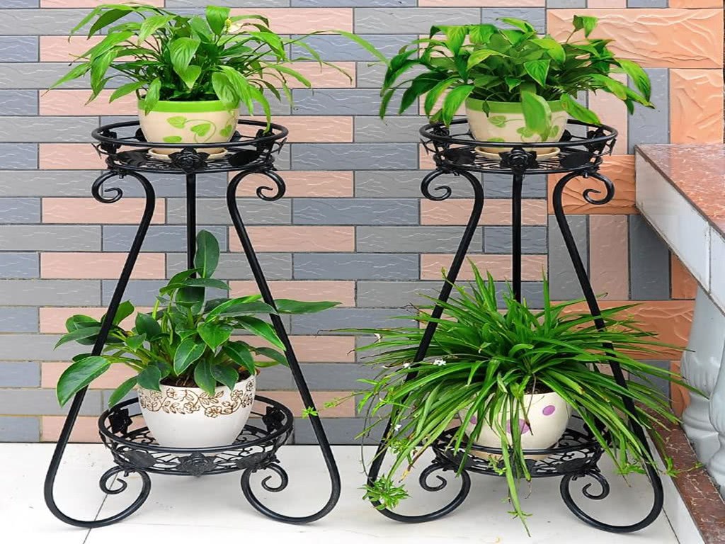 These four kinds of potted plants in the home can not be put casually, otherwise they will lose their good meaning. Rich people are very particular about it.