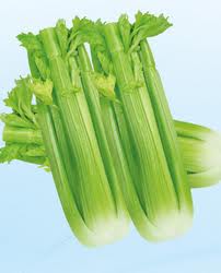 Q: what are the common varieties of celery on the market at present?