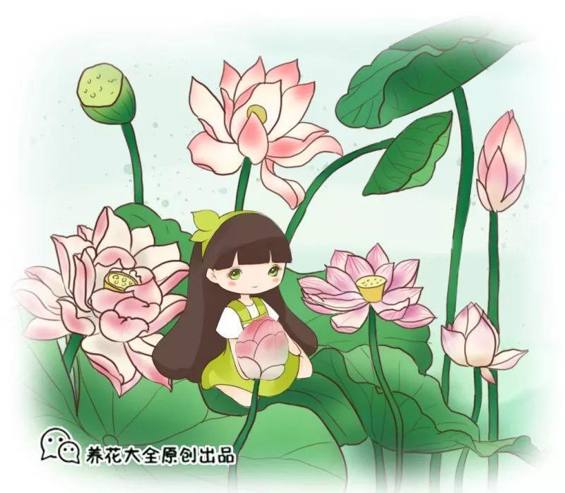 Don't miss the beauty of lotus flowers in hot summer to give you a cool pool.