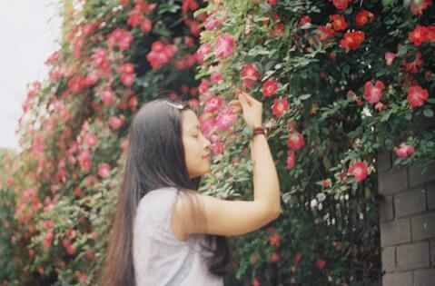 The old gardener raised a sea of flowers out of a jin of onions. Relatives and friends envied the beauty.