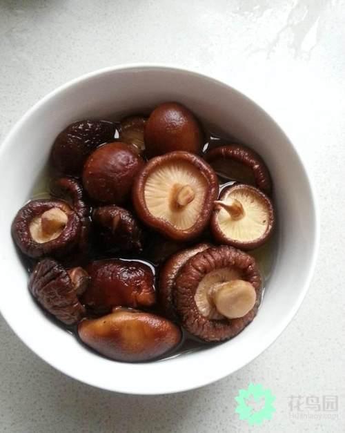 Do you use cold water or hot water to soak and dry shiitake mushrooms?