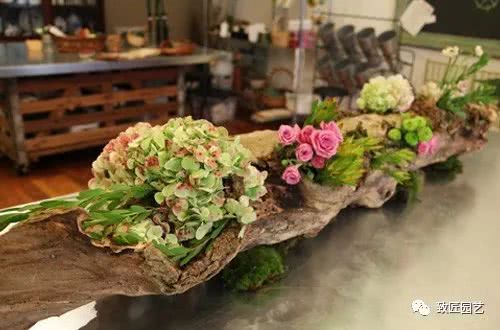 Dead wood turns into a flowerpot in spring?