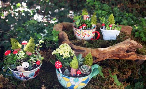 DIY succulent teacup garden