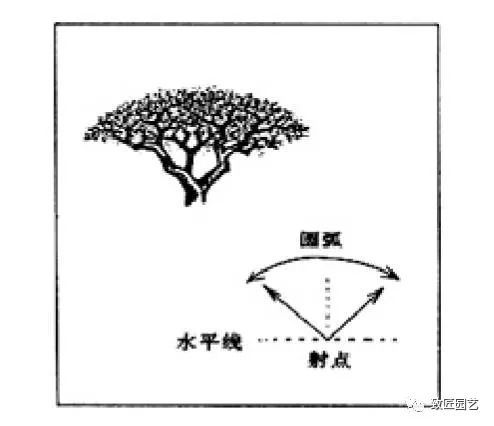 Illustration of 9 topping techniques for bonsai