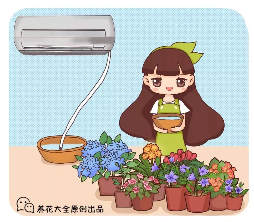 In summer, the air conditioner is not in the right mouth, the eyes are tilted and the whole body is aching and crying.