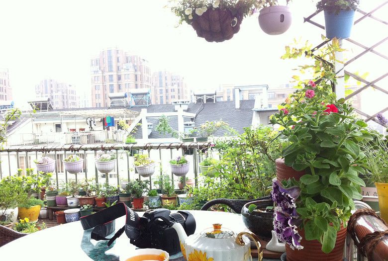 The 20-year-old terrace garden is so beautiful that netizens shout: buy a house with a terrace.