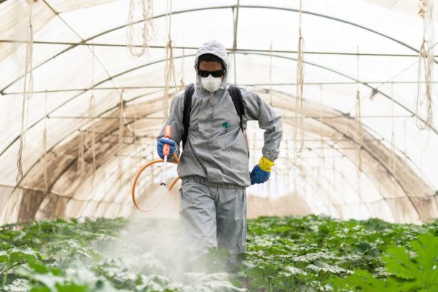 Pesticide consumption in Taiwan has reached a 17-year high! The US court ordered Garrette to pay sky-high compensation and ban Taosong for the protection of babies. Will Taiwan follow suit?