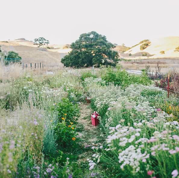 It depends on the mind to arrange flowers with the fortune-teller grass.