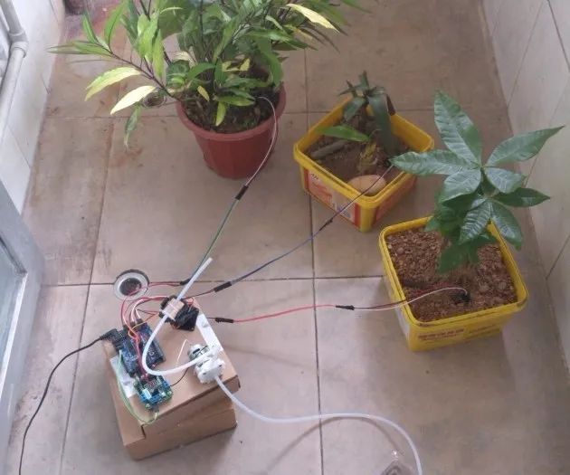 Making automatic drip Irrigation system with simple hose plants and flowers can replenish water automatically