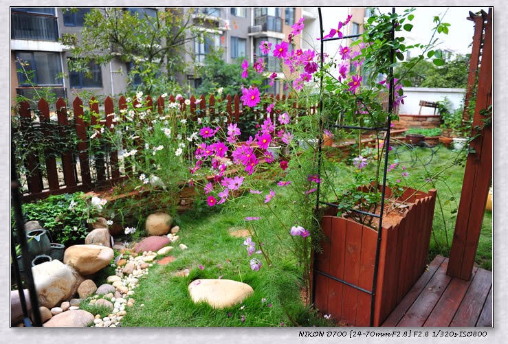 To create a record of 50-inch terrace garden, netizens shouted: it's good to have a terrace.