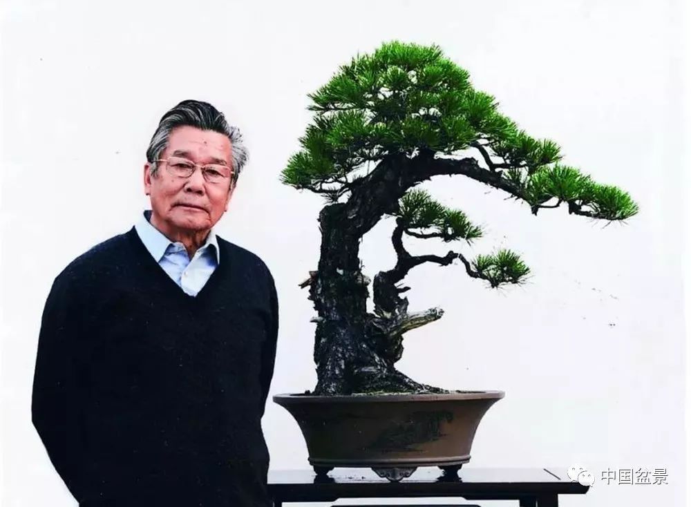 An exclusive interview with Hu Leguo, a Chinese master of bonsai art