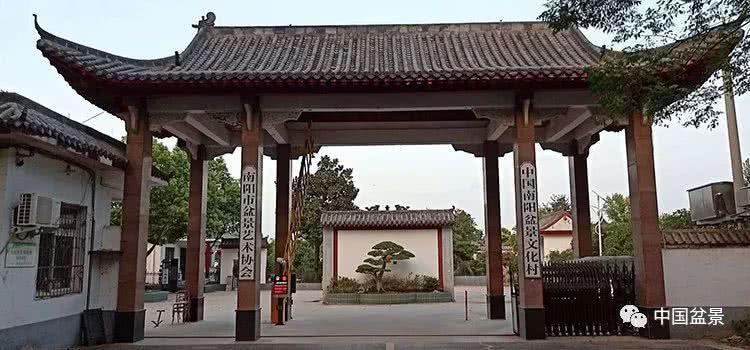 Lu Xinyi, president of bonsai association of Zunyi City, Guizhou Province, and his party went to Nanyang Bonsai Culture Village for inspection and exchange.