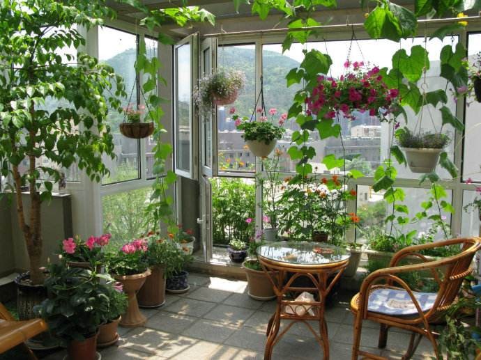 Only a fool would buy these four kinds of flowers as long as he breaks one pot into 10 pots.