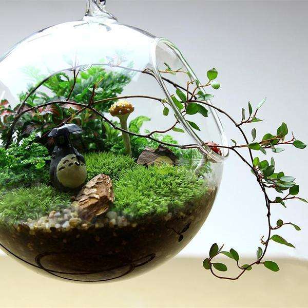 Plant the forest in a vase? These beautiful micro-landscapes can be completed in a few steps with a glass bottle.