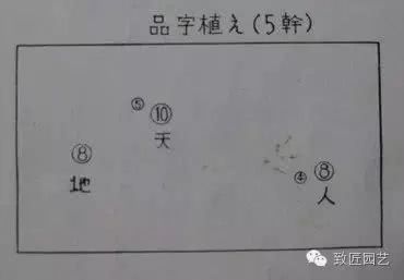 Some common layout of pots in Japanese co-planted jungle