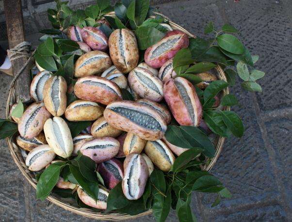 The rotten fruit sold by an uncle by the side of the road costs 30 yuan per jin and ends up buying 2 jin.