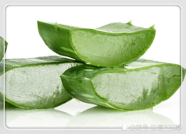 How to make aloe leaves full? The aloe god tells you that the leaves are thick and green.