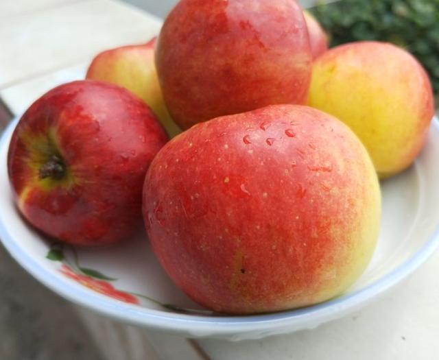 Super crispy sweet Daliangshan Red General apple fresh on the market, rich taste, sweet and delicious