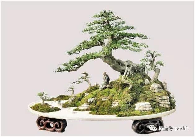 How to make stone-attached bonsai