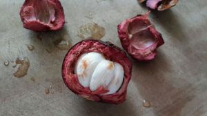 What is the yellow one in mangosteen?