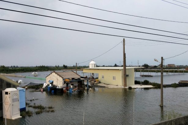 Torrential rain caused disasters, causing more than 600 million damage to farmers and fishery disasters in Taiwan! Zhangtan Village in Chiayi has been flooded to the chest, and the fish breached the dike and escaped.