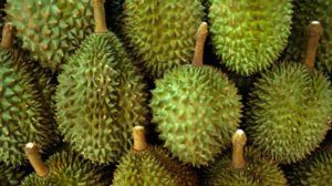 What are the varieties of durian