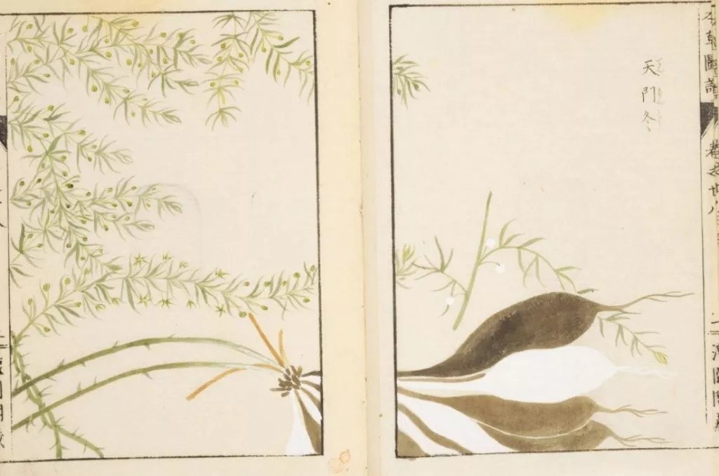 Jianglian shakes the white feather, the thorn vine and the green silk.