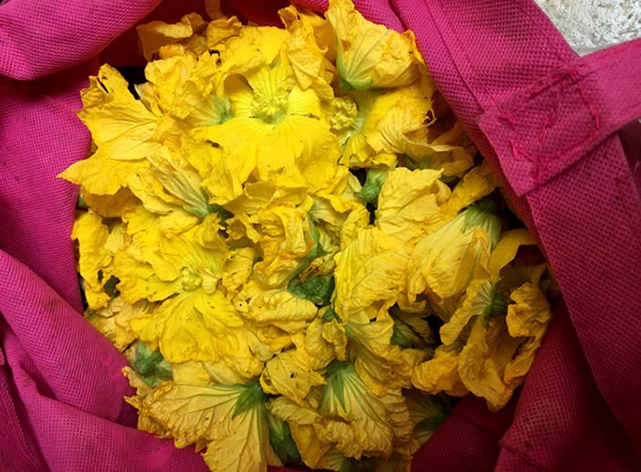 Mom went to the field and picked a big bag of flowers. This flower is a treasure all over the body, so I will give it to my neighbor.