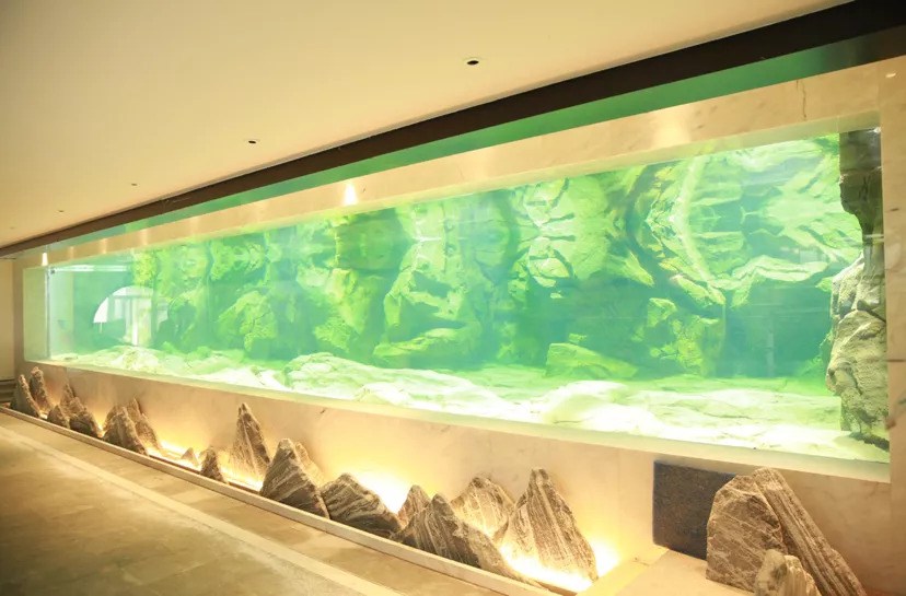 Use a giant tank of 300 tons of water to create a landscape? It was really awesome.