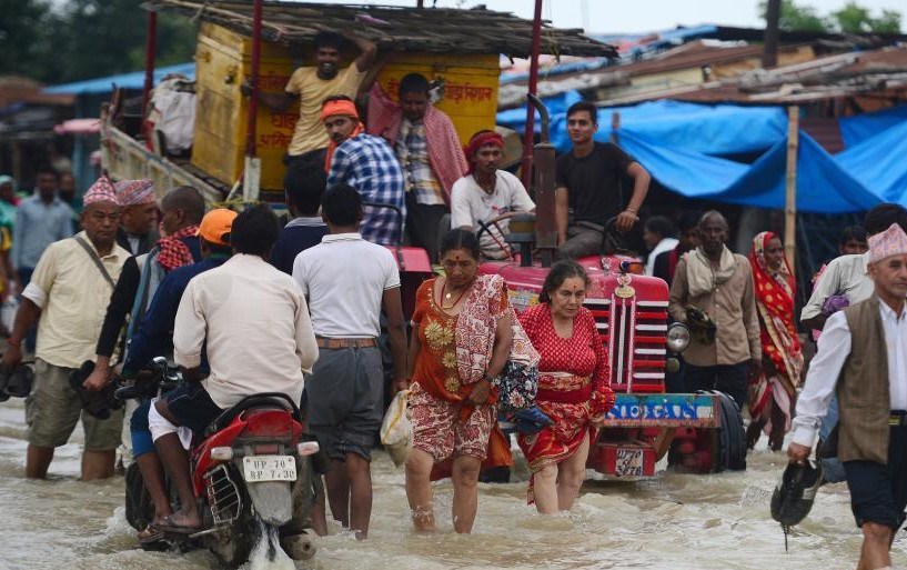 Torrential rain in India causes floods the dog mother travels with her son in her mouth and looks at the crying passers-by.