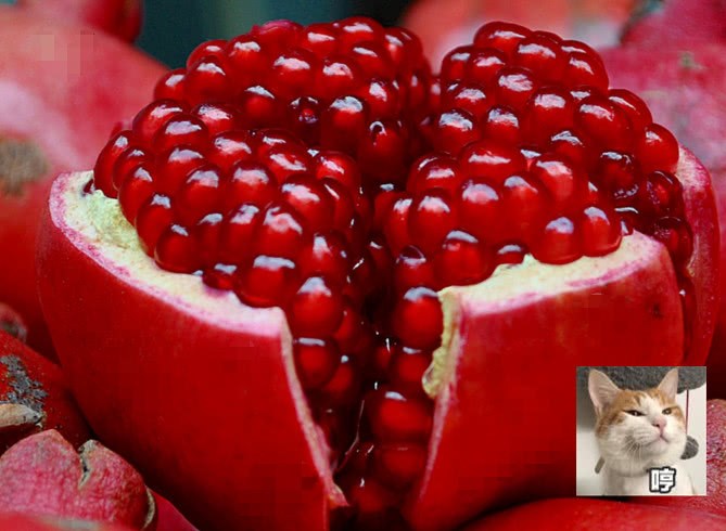 The most naughty boy in history peels the pomegranate and freezes it to make people call their teeth too good.