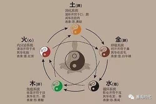 Expression of Chest Pain in TCM