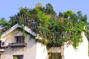 The 70-year-old man is the best in Beijing to build a hanging garden on the edge of the imperial city.